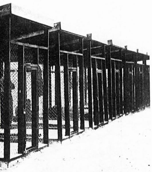 Security_cages_where_Ezra_Pound_was_held,_Pisa,_Italy,_1945